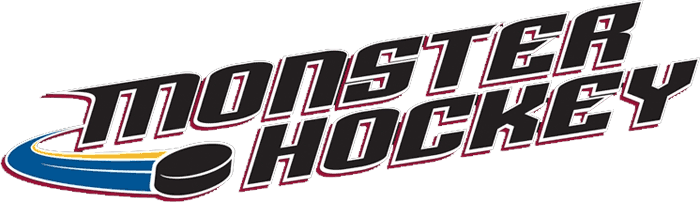 Lake Erie Monsters 2007 08-Pres Wordmark Logo1 iron on transfers for clothing
